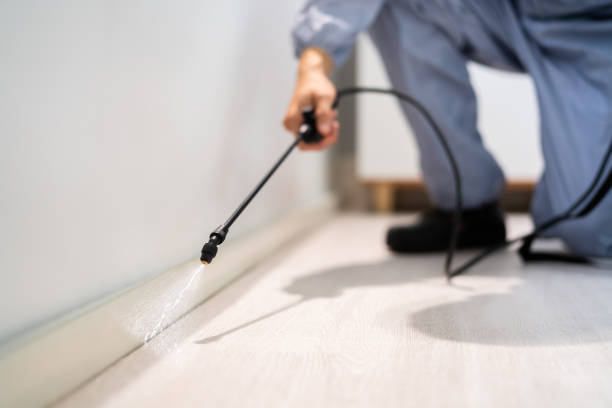 Professional exterminator conducting IPM assessment in Chisholm